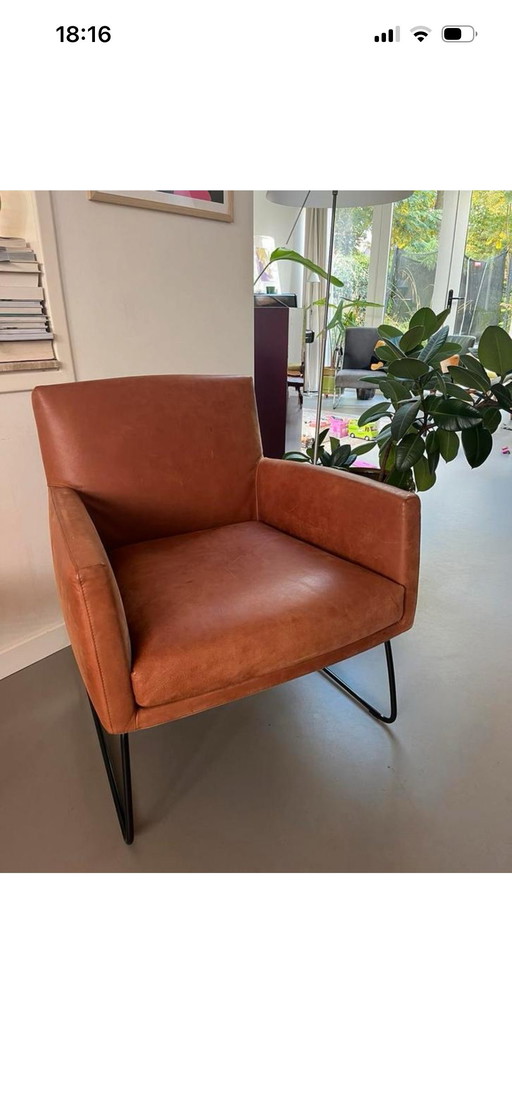 Poltrona Design in magazzino