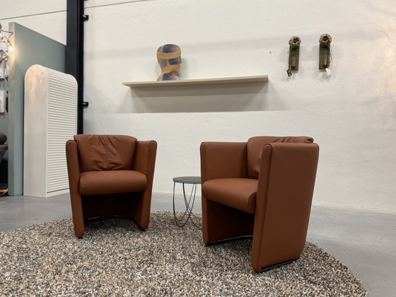 Image 1 of 2 Leolux Suva Fauteuils Wapiti Hawk leer 