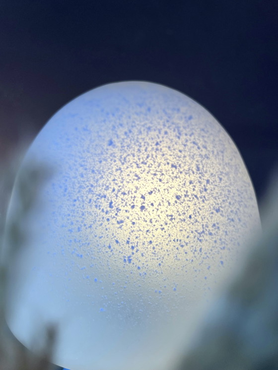 Image 1 of Peill & Putzler mushroom tafellamp