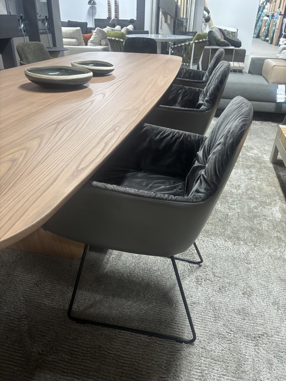 Image 1 of Freifrau Leya bracciolo alto in pelle abbinata tessuto taupe velluto 6 pezzi disponibili