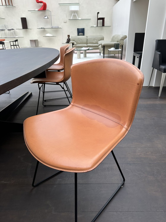 Image 1 of 8x bertoia side chair saddle leather