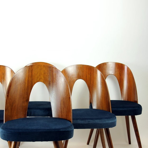 Image 1 of Set Of 6 Iconic Tatra Chairs In Walnut & Velvet By šuman, Nabytok Pravenec 1960s