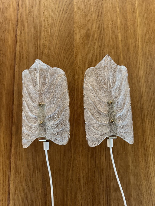 Set of 2 “Leaf” Textured Glass Wall Lamps – Elegant Organic Form & Warm Glow