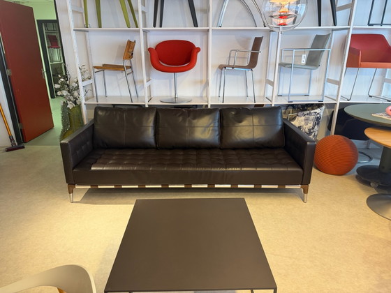 CASSINA PRIVÉ PHILIPPE STARCK dark brown, Sofas, Leather, Wood, Modern (photo 6 of 6)