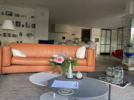 Divano curvo Gelderland 5526 B 3 – Divani 3 posti, Pelle (photo 3 of 6)