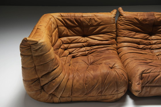 Image 1 of Perfect Rich Patinated Togo in Original Natural Leather by Michel Ducaroy - Ligne Roset