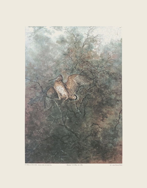 Emmanuel FRACHON Mordorée - the Queen of the Woods screenprint 1994