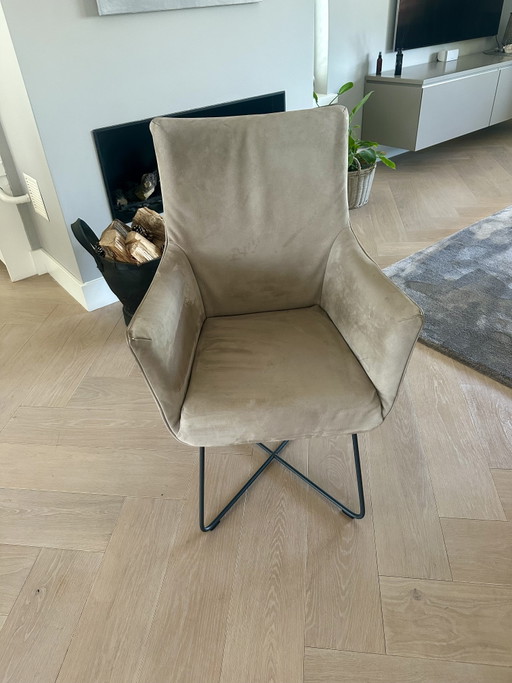 4 chaises de salle à manger Label Chief