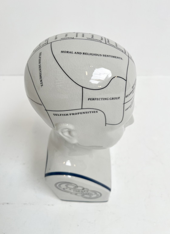 Image 1 of Testa frenologica in ceramica alta 30 cm, anni '90