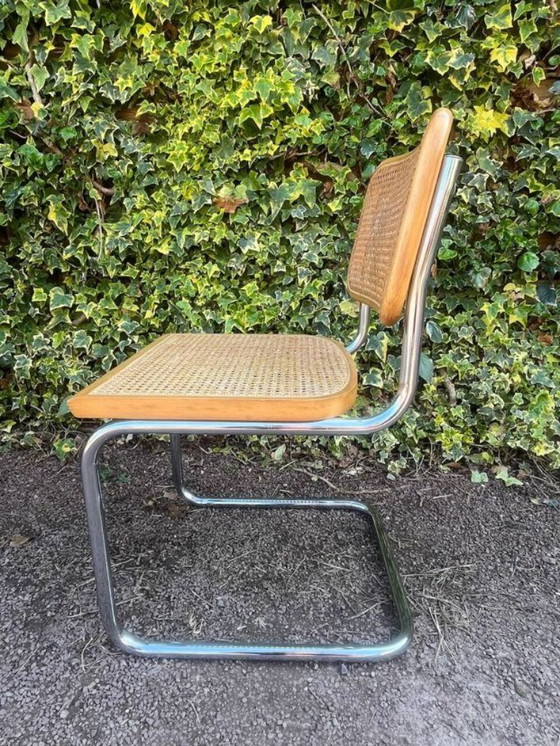 Image 1 of sedia in canna