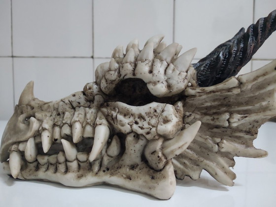 Image 1 of Hucha calavera Dragón (de resina)