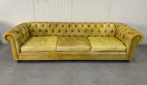 Magnifique canapé Chesterfield anglais 4 places, jaune lavé à la main