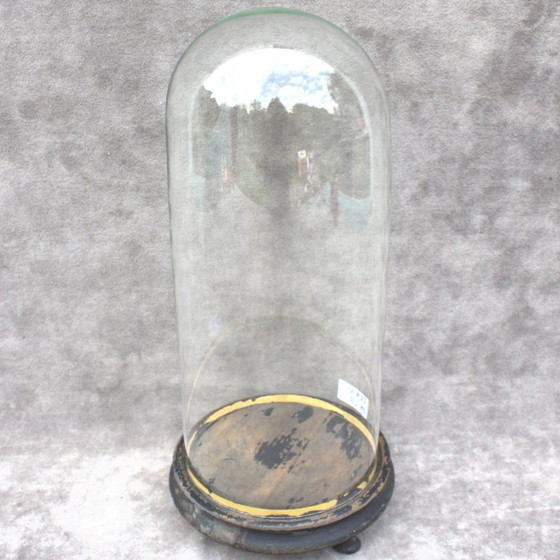 Image 1 of Antique round French Glass dome 13. 58 x 5.91 inch bell jar 34,5 x 15 cm Victorian era cloche taxidermy steampunk Display mouth 