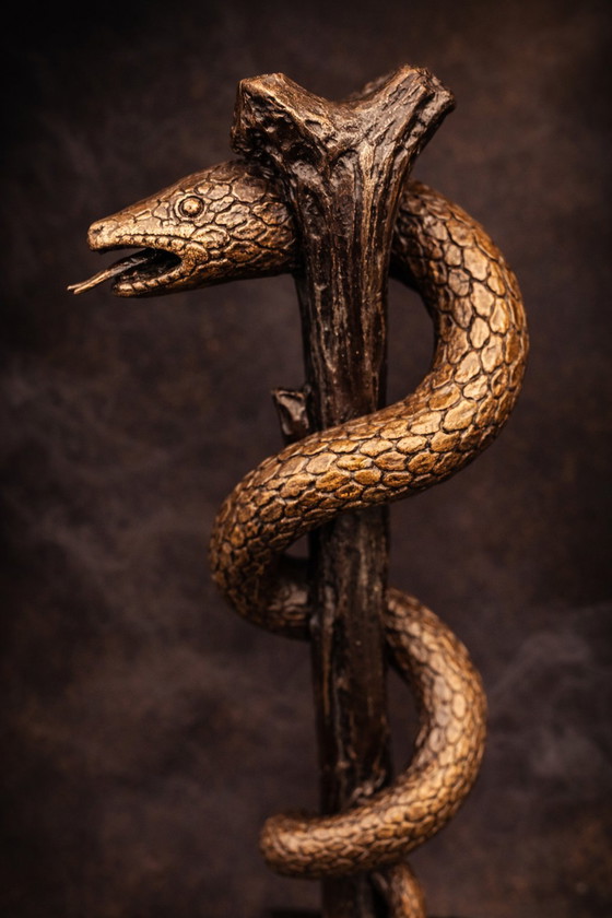 Image 1 of Bronzen Asclepius