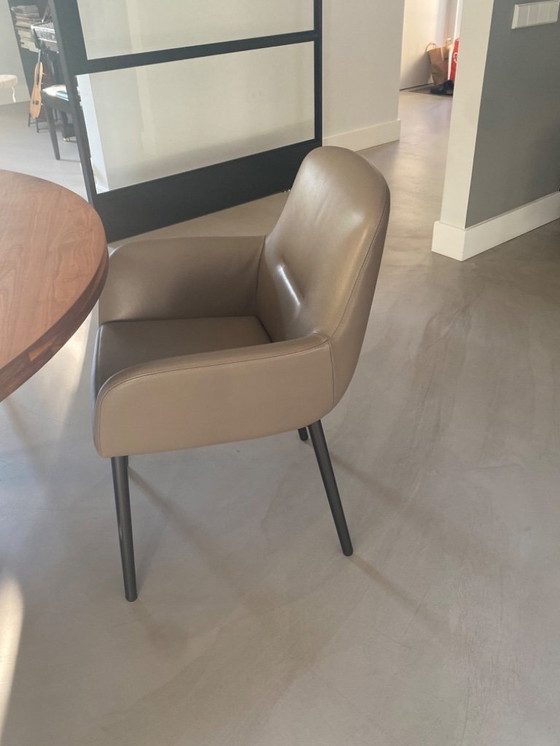 Image 1 of Minotti Flavin dining chair 4x