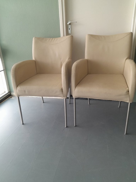 Image 1 of Plantagie Leer wit 6 stuks