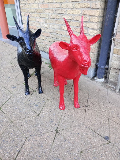 Cloned goat Beaufort 2003 sweetlove William cracking art