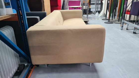 Image 1 of Divano a 3 posti Moooi Bottoni di Marcel Wanders