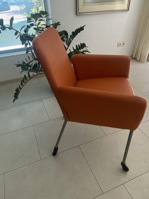 6 Leather Dining Chairs Bert Plantagie – eetkamerstoelen, Metal (photo 2 of 5)