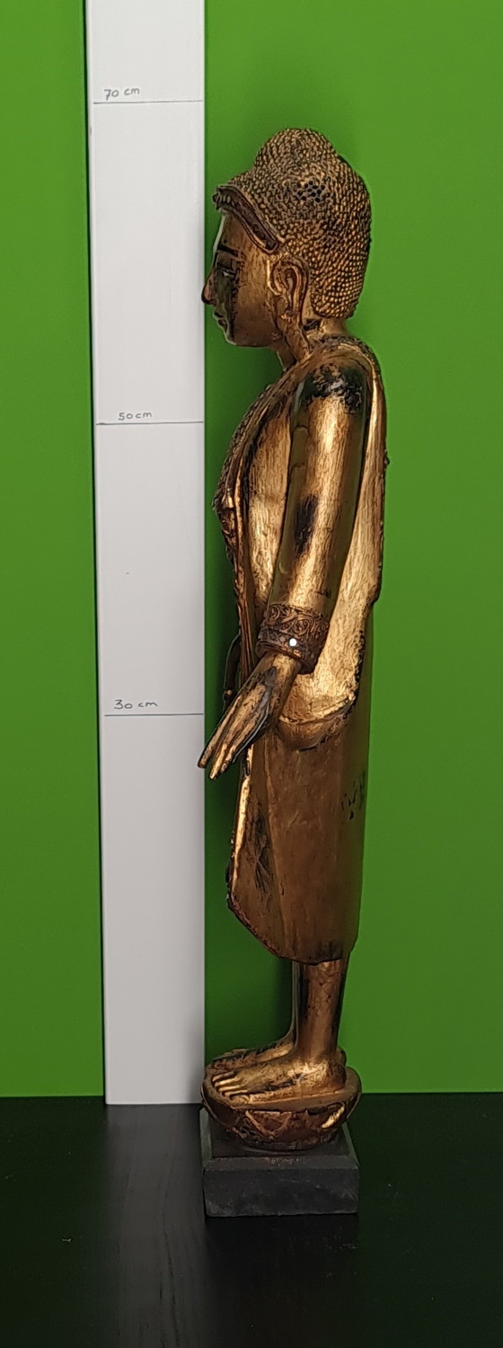 Image 1 of Legno del guardiano del tempio