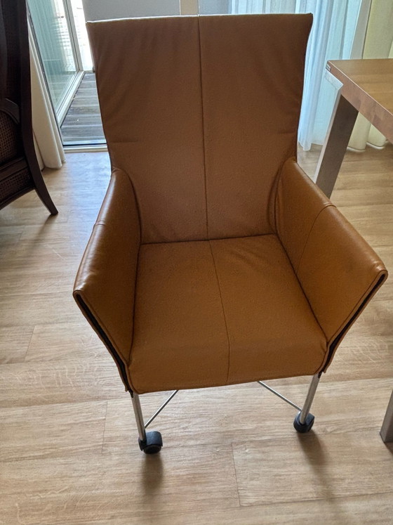 Silla de comedor – Montis, Sillas de comedor, Cromo, Cuero (photo 6 of 7)