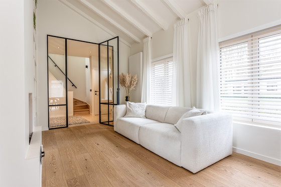 Image 1 of Hucha de peluche