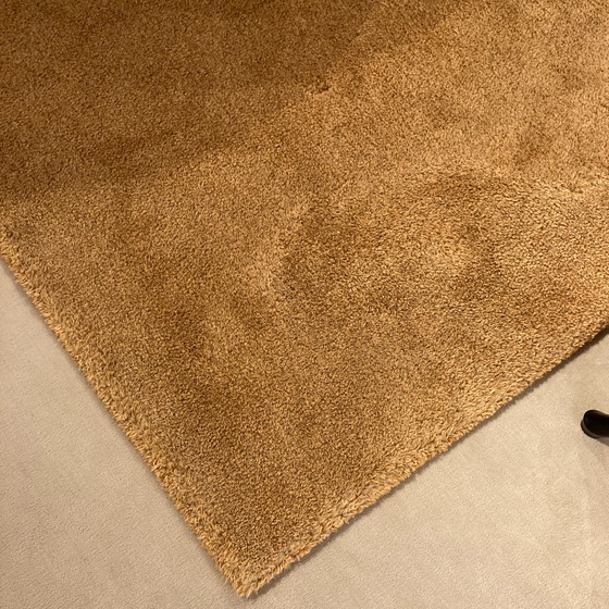 Image 1 of CS Rugs Sauvage rug - 160x220