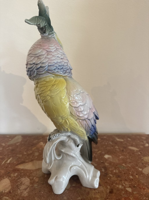 Porzellankakadu aus der Manufaktur Karl Ens – decoratieve objecten, Porcelain (photo 2 of 7)