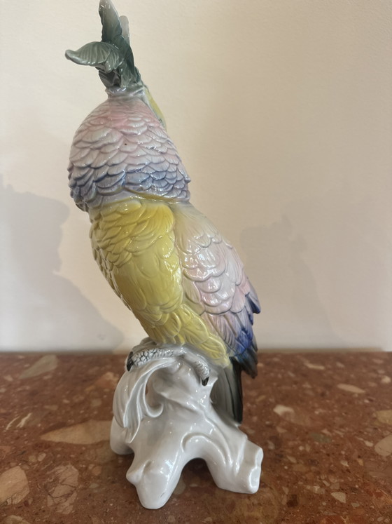 Porzellankakadu aus der Manufaktur Karl Ens – Dekorative Objekte, Porcelain (photo 2 of 7)