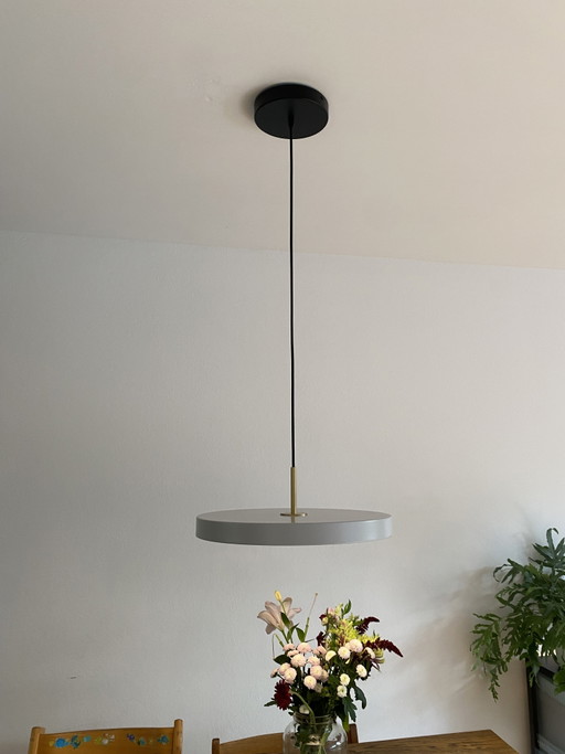 Umage Asteria ø 43cm lampada a sospensione (LED) sfumatura nebbia 