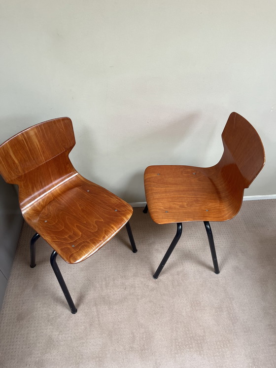 Image 1 of Sedia Eromes Robit Stoel obo-1 