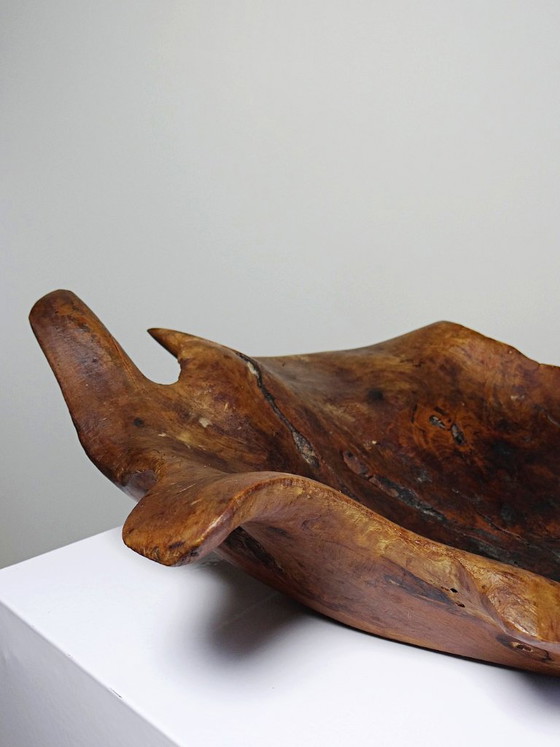 Image 1 of Grande coupe monoxyle en bois brut d'olivier foncé années 50