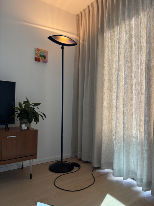 Lampada da terra Flos Aeto
