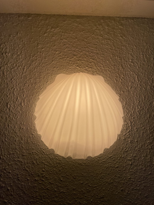 Glashütte Limburg Shell Wall Lights 2x