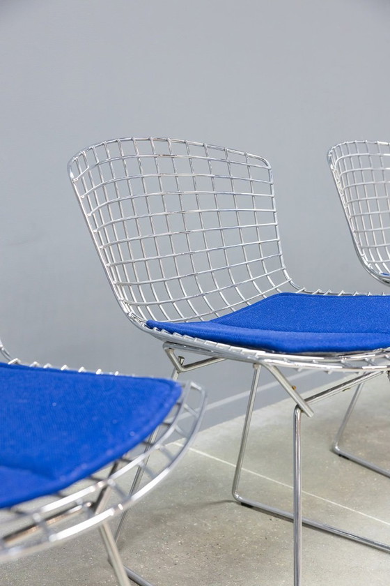 Image 1 of Sedia laterale Bertoia, 4x