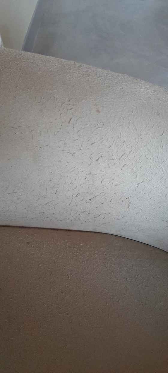 Image 1 of 1 poltrona Leolux Amphora