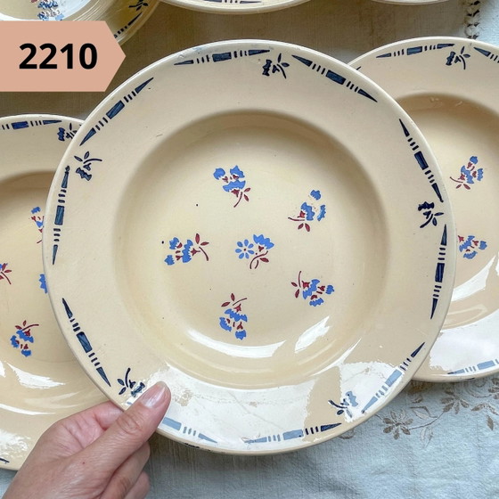 Piatto Fondo Individuale in Maiolica Floreale Vintage – Stoviglie, Retro (photo 12 of 19)