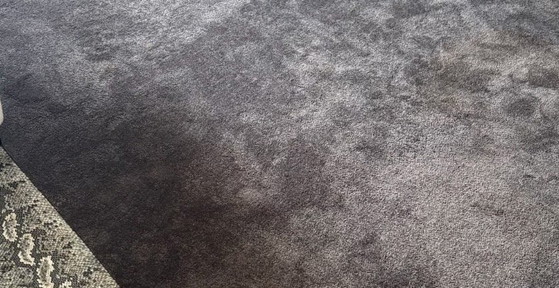 Tappeto con bordo decorativo stampa serpente 350x 580cm – Tappeti, Textile (photo 7 of 7)