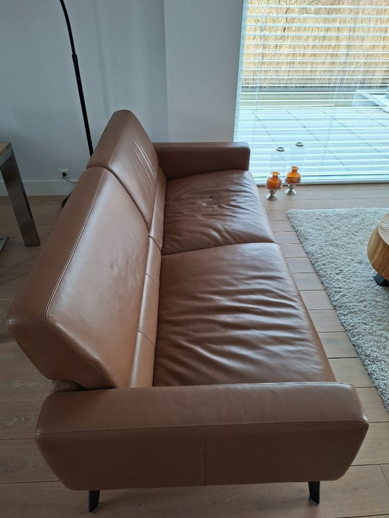 Image 1 of De Sede DS-87 Divano Donna marrone cognac