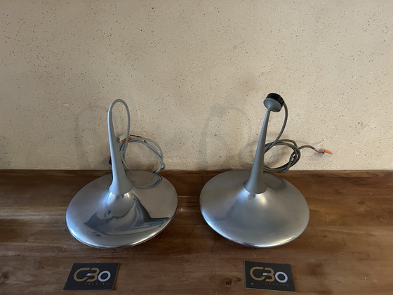 Image 1 of Vintage Tobias Grau Plafondlamp - Grote Plaat 120x40cm Lampen 2 Valbladeren