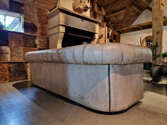 Image 1 of Vintage Chesterfield, gerestaureerd, prachtige kleur