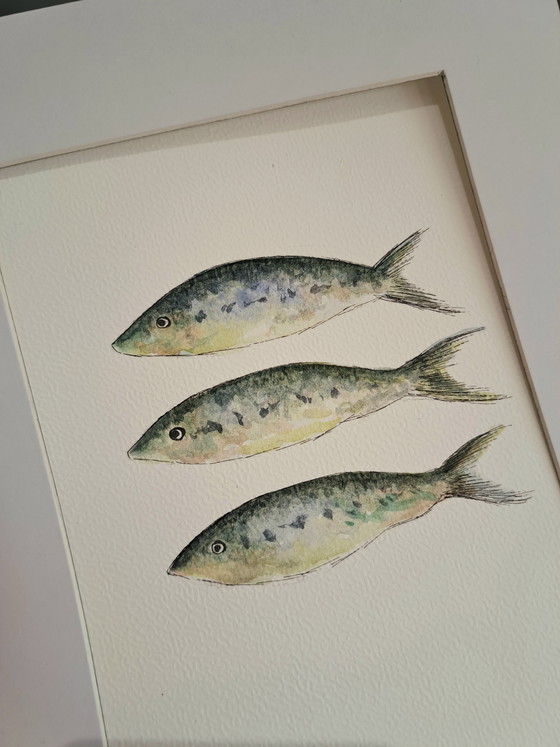 Image 1 of Aquarelle originale représentant trois sardines | Cadre inclus