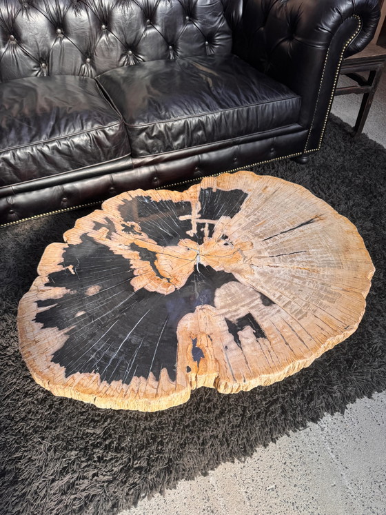 Petrified wood coffee table (photo 2 of 4)