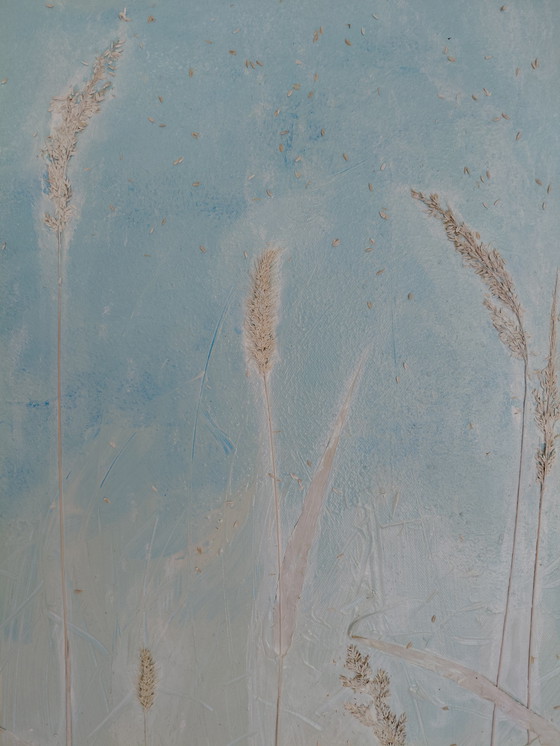 Image 1 of "Glory of Seeds" by Gallery Suncorner