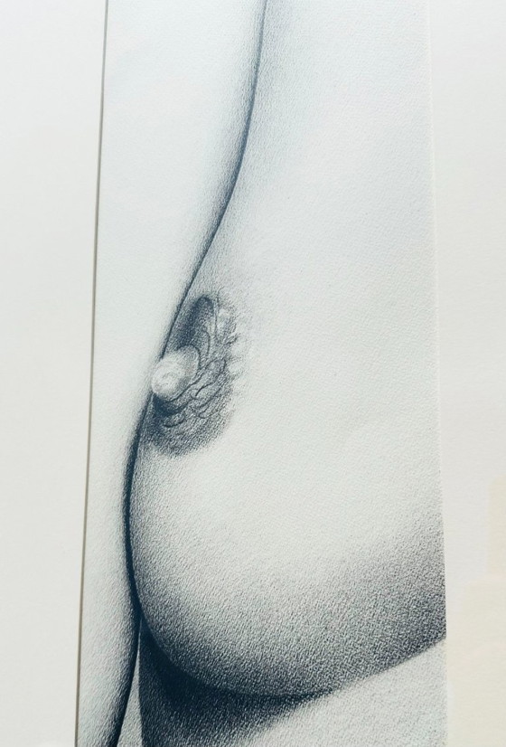 Image 1 of Composizione figurativa in grafite. Francia, anni '80