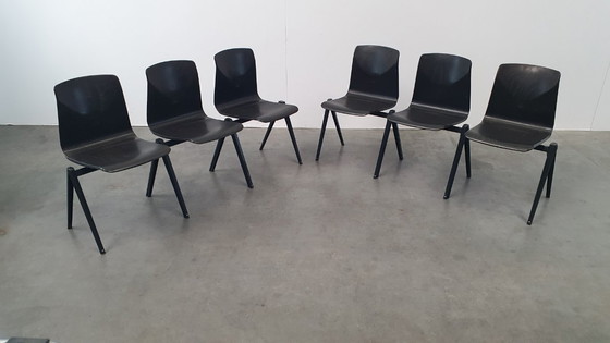 Image 1 of 6x S22 galvanitas thurop pagholz sedia design industriale vintage anni '60