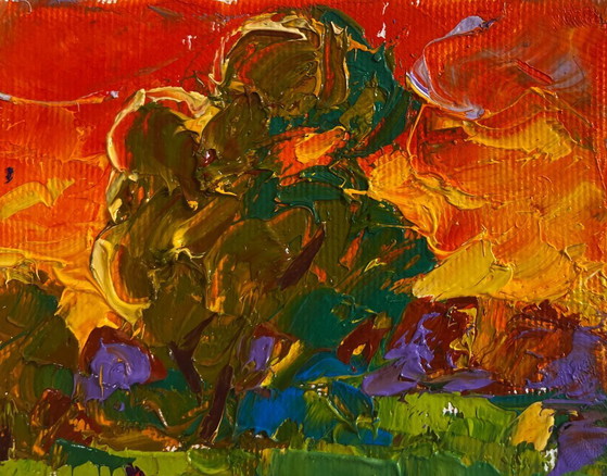 Image 1 of Original Oil Painting Evening Field Landscape The summer sky is burning