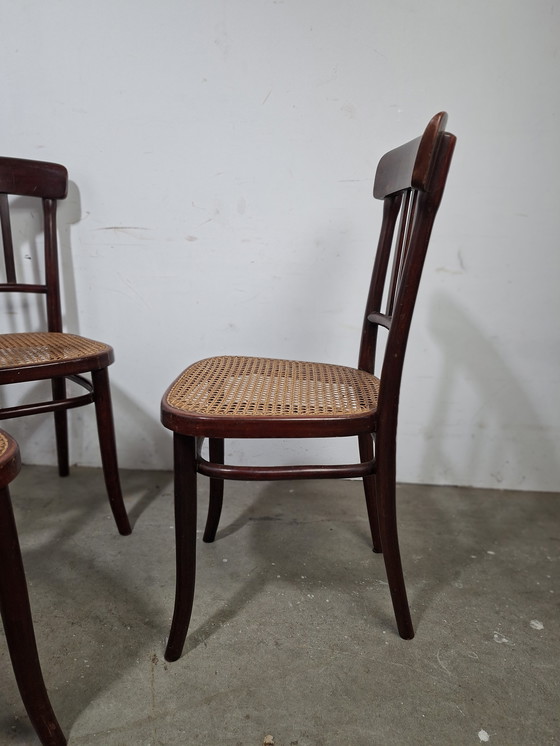 Image 1 of Set di 6 sedie vintage di design Thonet