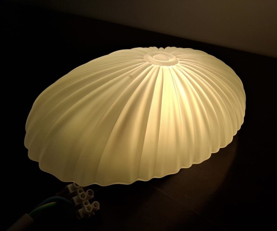 Image 1 of Lámpara de techo Schelpvormige