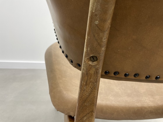 Image 1 of Louis van Teeffelen für das Wébé Penguin Restoration Project